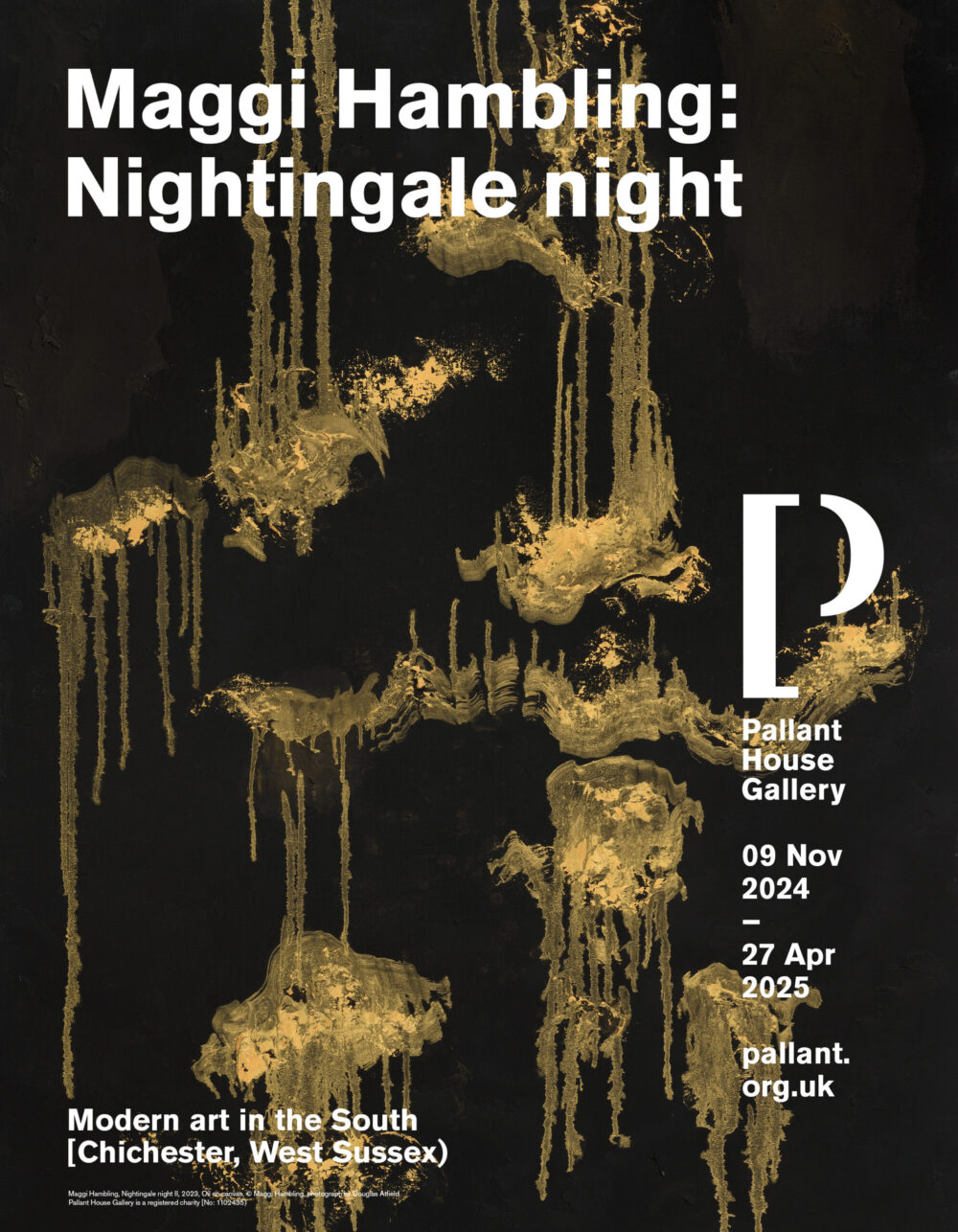Flyer for Maggis exhibition at Pallent House, showing a detail of Nightingale Night II.